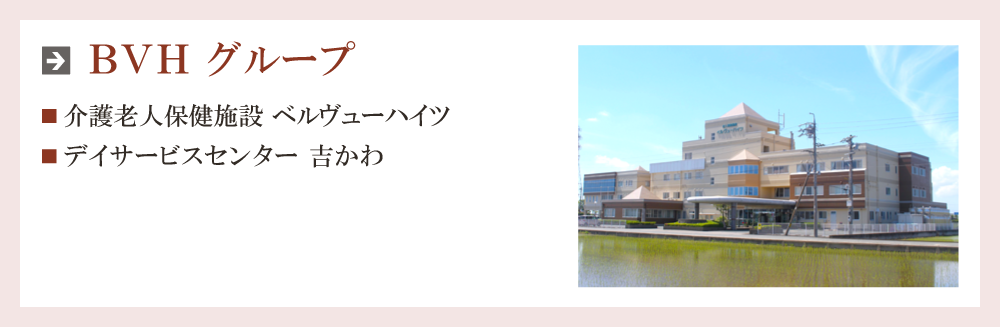 BVHO[v