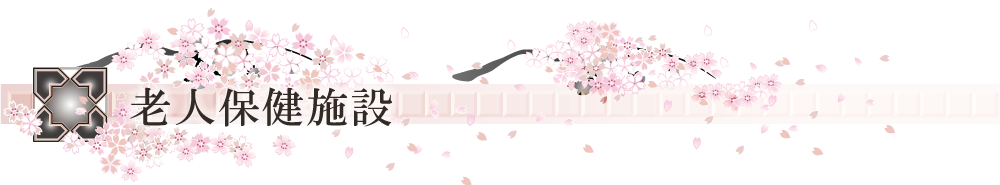 Vlی{